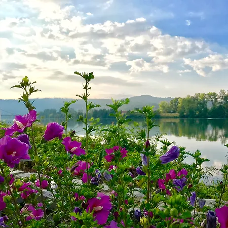 Hotel Beau Rivage Condrieu