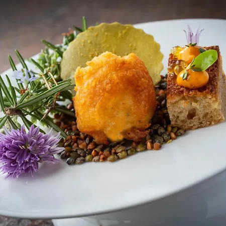 Beau Rivage Condrieu