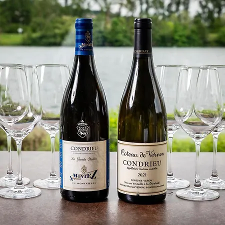 Hotel Beau Rivage Condrieu